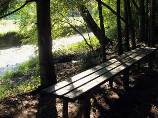 Bank beim Hundebadeplatz