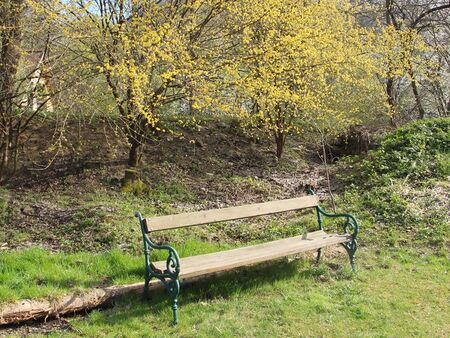 Dirndlblüte Teichweg