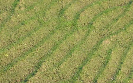 Viehsteige am KL-Weg