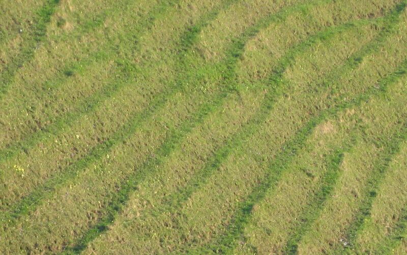 Datei:Viehsteige Frühjahr.jpg