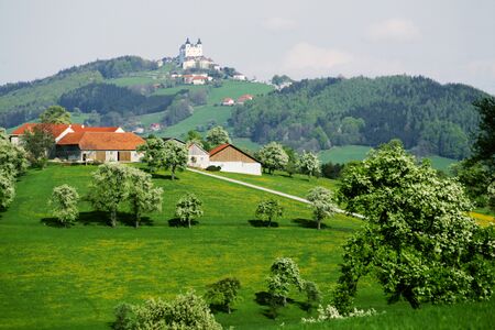 Birnblüte am Sonnatgberg