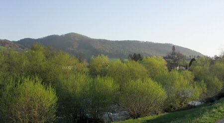Frisches Grün an der Pielach-Kirchberg