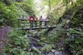 Wanderung Taubenbachklamm