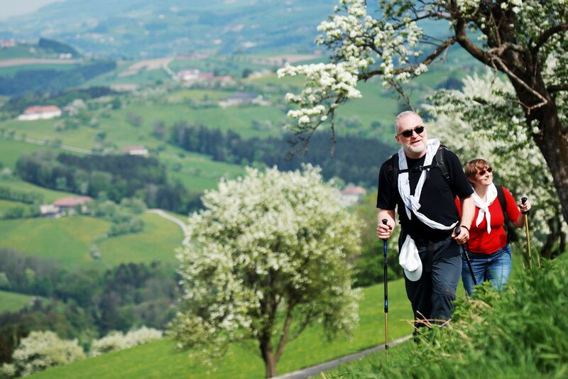 Datei:Walken Birnblüte WF.jpg