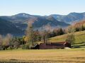 Loicheck im Herbst