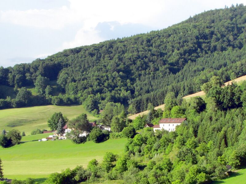 Datei:HKW SOmmer Gegenhang85.jpg