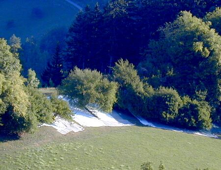 Dirndlernte am Gaisbühel mit Tüchern