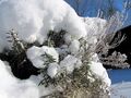Winter bei der Würzkräuter-"Spirale"