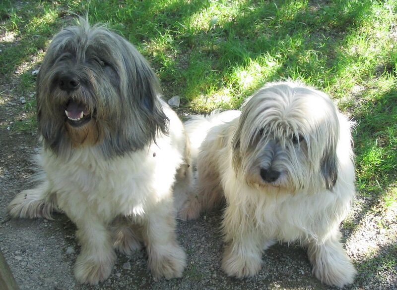 Datei:SH-Wastl und Lilo.jpg