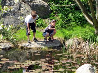 Biotop mit Kindern