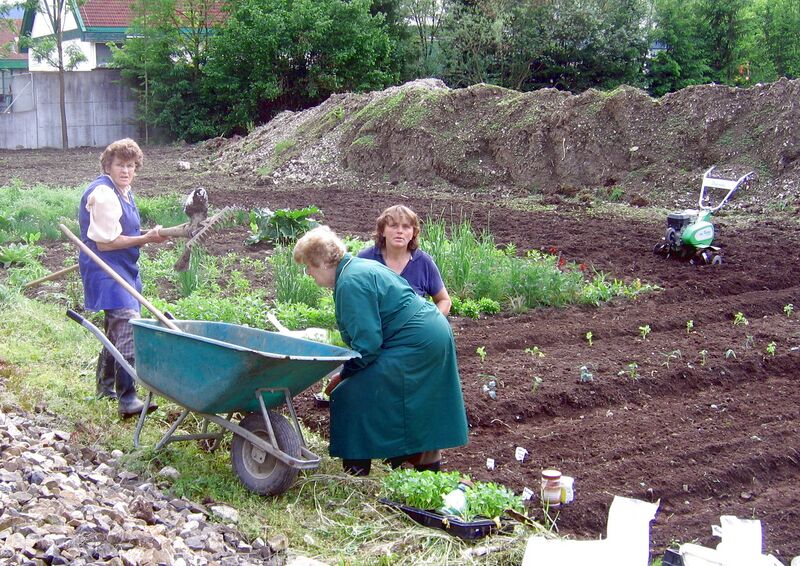 Datei:Neuanlage Pielachgarten 2009-1.jpg