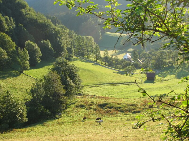 Datei:EST Hochtal.jpg