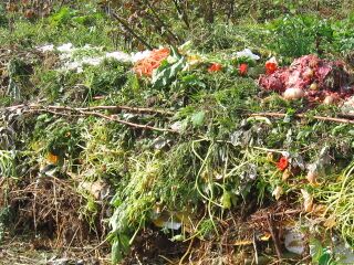 Komposthaufen mit Küchenkompost