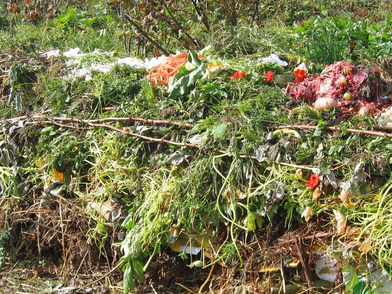 Datei:SG Komposthaufen KK.jpg