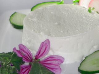 regionaler Frischkäse