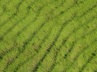 Viehsteige bei Banzhäusl