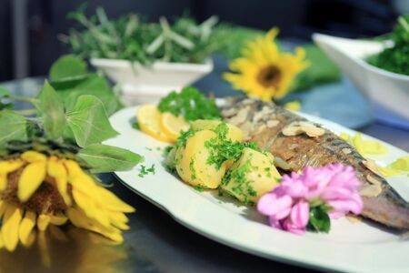 Fisch im Blütenbeet