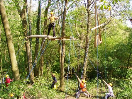 Dschungelparcours Plattform