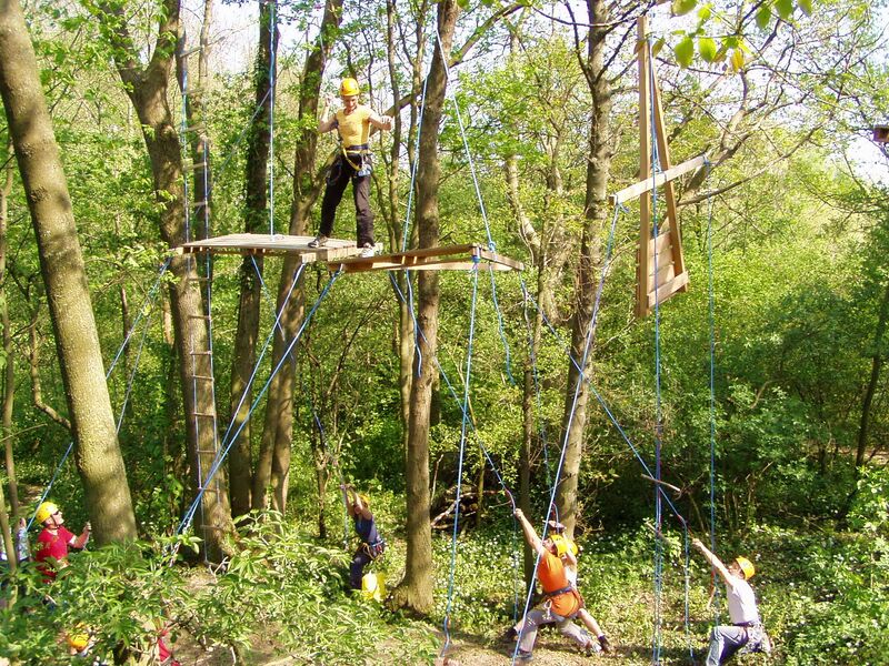 Datei:Dschungelpar Plattform1.jpg