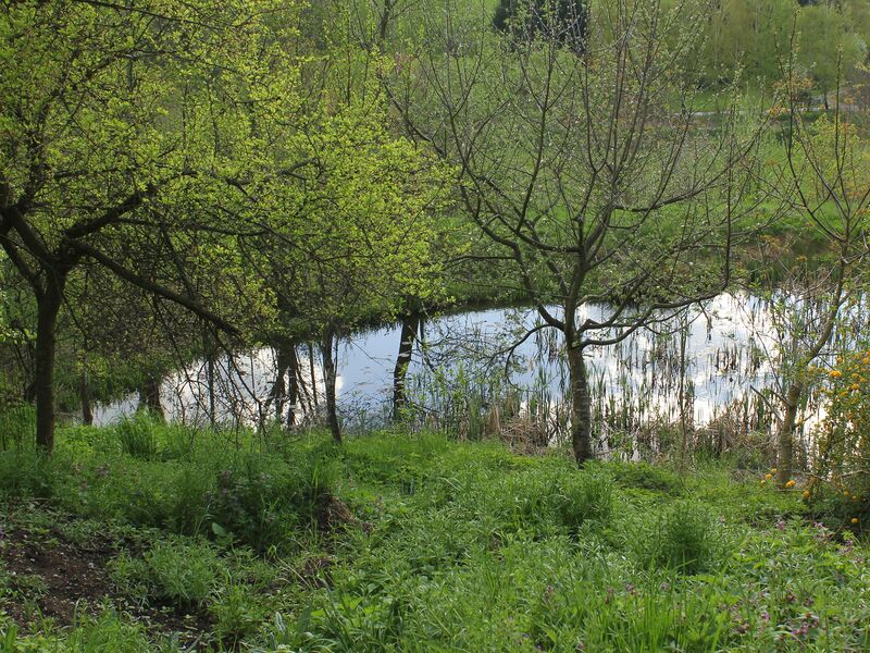 Datei:HKW Biotop1 Frühling.jpg