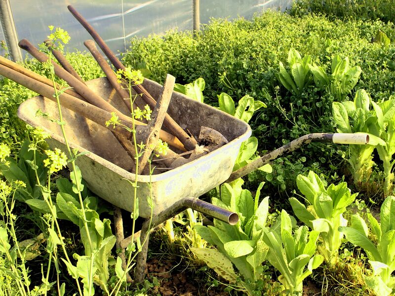 Datei:SG-FT2 Parkplatzprobleme.jpg