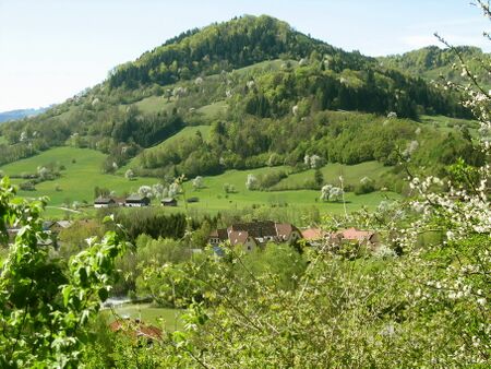 Blick vom Haus Königswiese