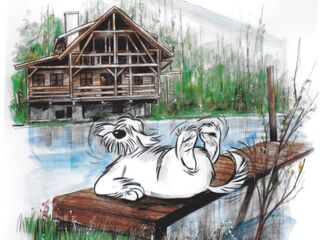 Hunde am Steinschaler Teich