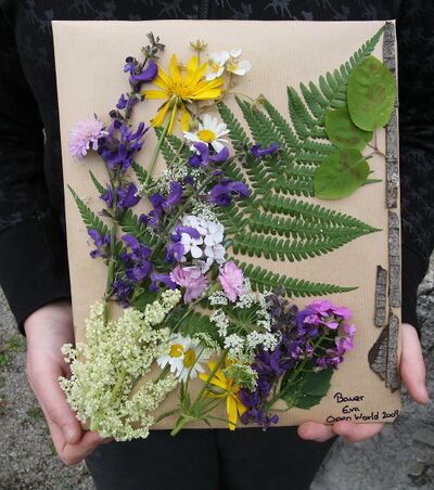 Naturbild entstanden bei Sommerakademie 2011