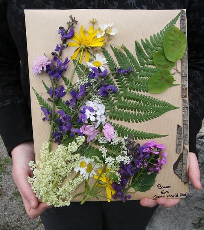Naturbild bei Workshop Open World entstanden