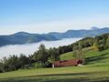 Loicheck im Herbst