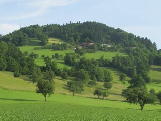 Fronberg am Schulweg von Kardinal König