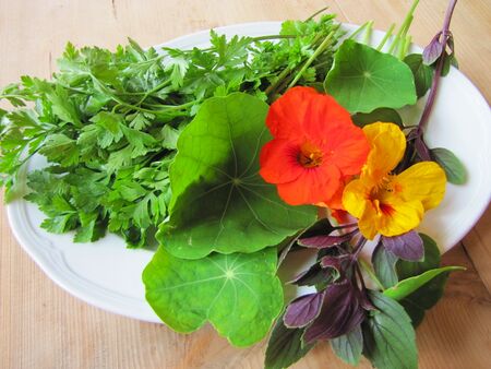 kräuter zum Knabbern