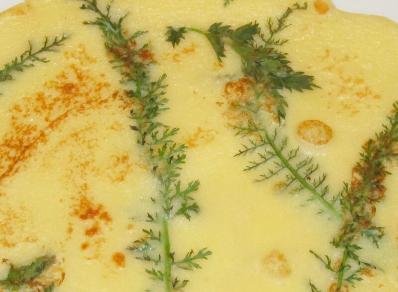 Datei:SK Wildkräuterpalatschinke.jpg