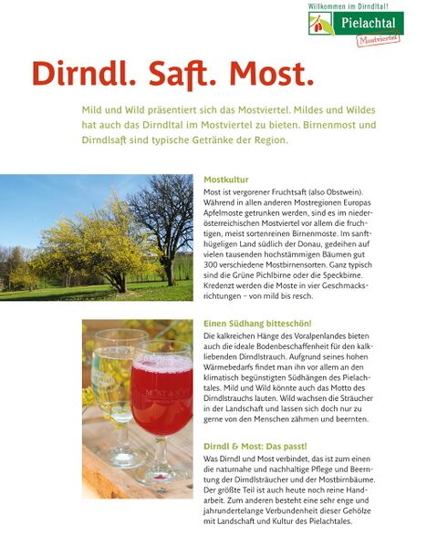 Datei:Schild Dirndl Saft Most.jpg