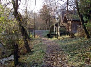 Weg am Teich zum Teichhaus