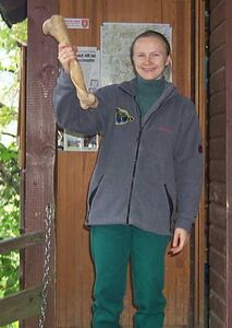 In der Nixhöhle gefundener Bärenknochen