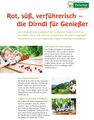 Dirndlsteigschild: Rot, süß, verführerisch