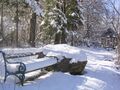 Bank bei Steinschaler Teich - Winter