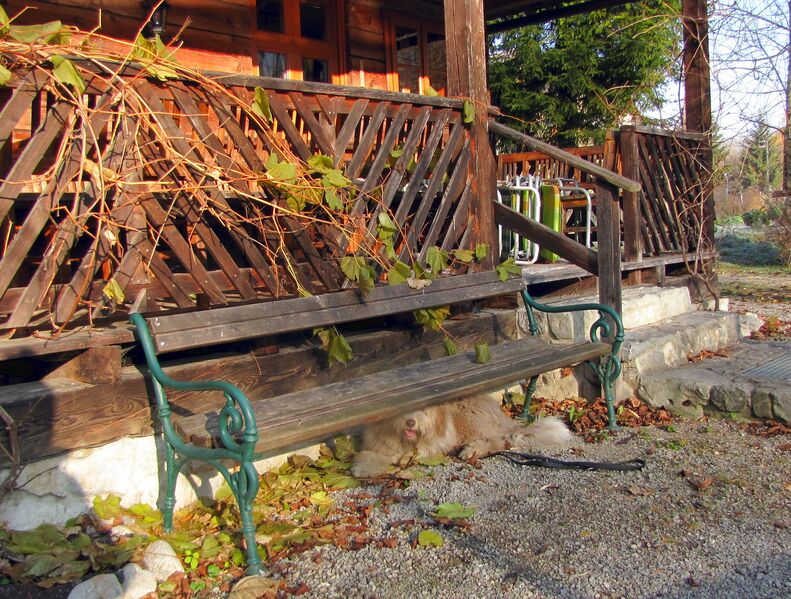 Datei:SH-Bank bei Teichhaus.jpg