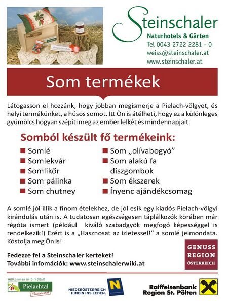 Datei:Dirndlkarte ungarisch S2.jpg