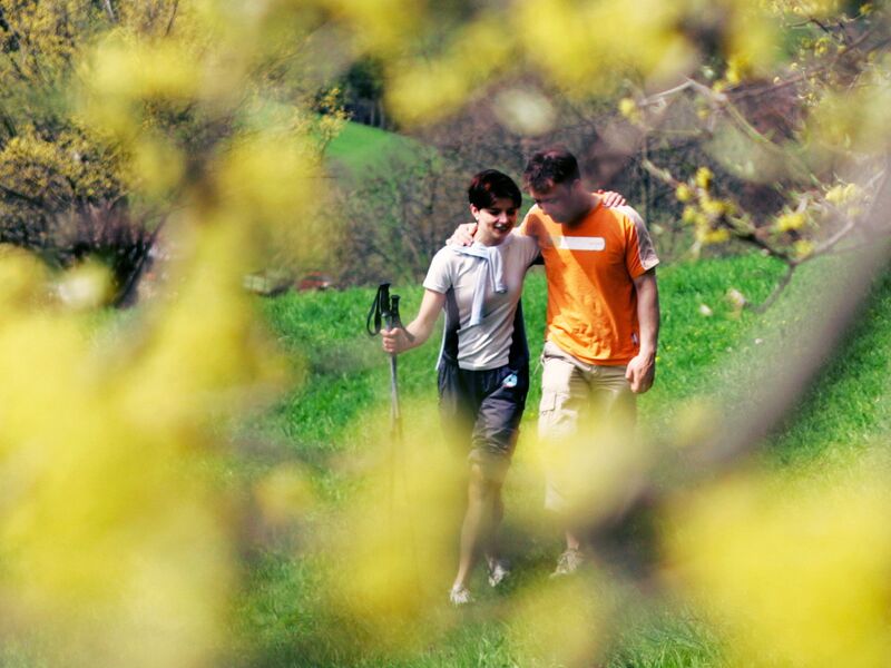 Datei:Pärchen Dirndlblüte.jpg