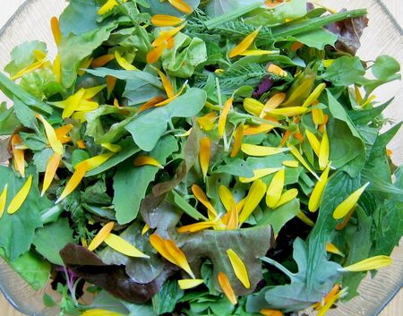 Steinschaler Wildkräutersalat - saisonal
