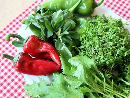 Kräuterteller aus den Steinschaler Bio-Gärten