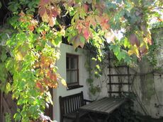 Idyll bei Gartenhaus 22