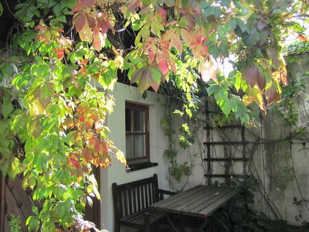 SH Idyll bei Gartenhaus 22