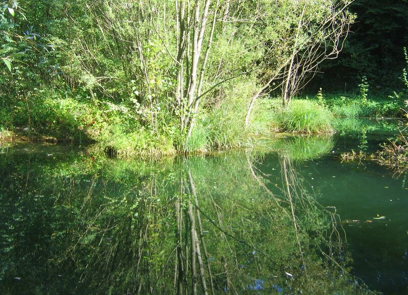 Datei:ST Spiegelung1.jpg