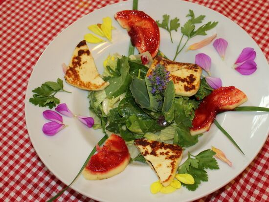 Wildkräuter mit Grillkäse Dirndlmarmelade