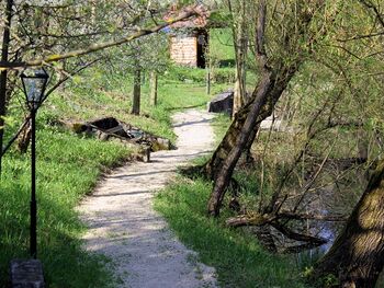 "Grüner" Weg zum Seminarraum Teichbrücke