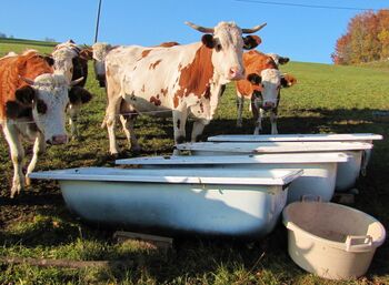 Dirndltaler Recycling (Reuse)