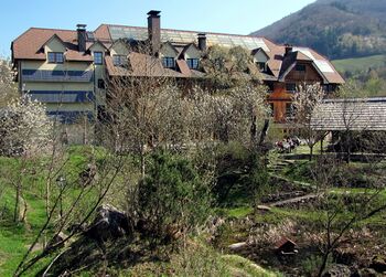 Photvoltaik und Thermosolar im Südgarten